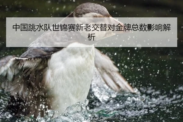 中国跳水队世锦赛新老交替对金牌总数影响解析